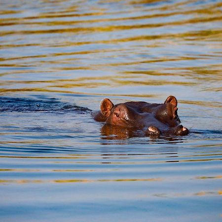 Вилла Zambezi Dusk Ливингстон Экстерьер фото